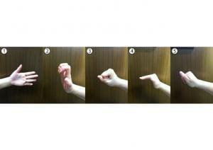 Figure 1 - Tendon Gliding Exercise: 1.Straight Hand 2.Claw Fist (hook) 3.Full Fist 4.Table Top 5.Straight Fist